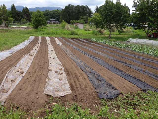 f:id:akane-farm:20150608193559j:plain f:id:akane-farm:20150608193559j:plain