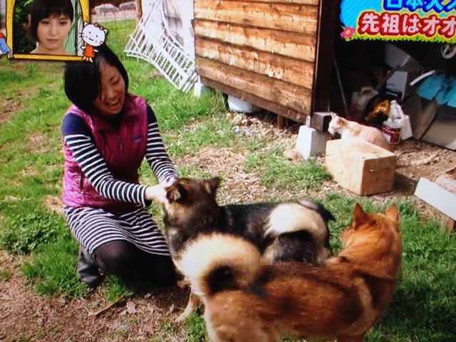 f:id:akane-farm:20150614123546j:plain f:id:akane-farm:20150614123546j:plain