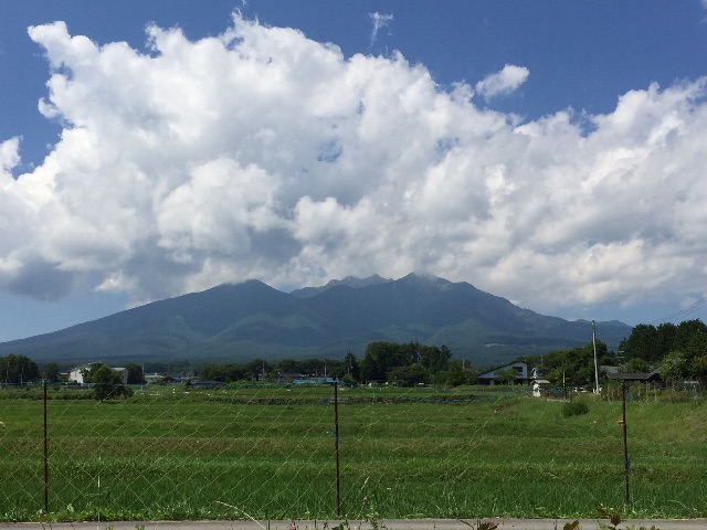f:id:akane-farm:20150710192012j:image f:id:akane-farm:20150710192012j:image