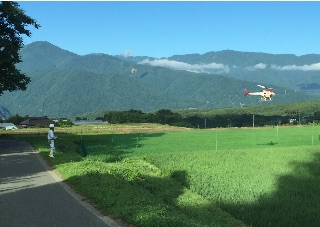 f:id:akane-farm:20150722181930j:image f:id:akane-farm:20150722181930j:image
