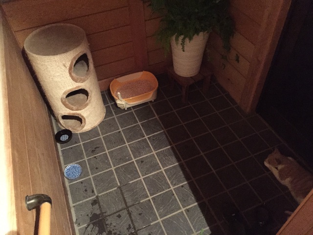 f:id:akane-farm:20150724204259j:image f:id:akane-farm:20150724204259j:image