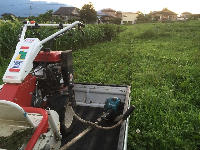 f:id:akane-farm:20150725200328j:image f:id:akane-farm:20150725200328j:image