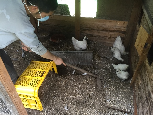 f:id:akane-farm:20150731204014j:image f:id:akane-farm:20150731204014j:image