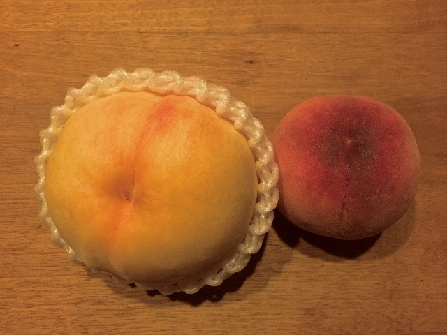 f:id:akane-farm:20150805212124j:image f:id:akane-farm:20150805212124j:image