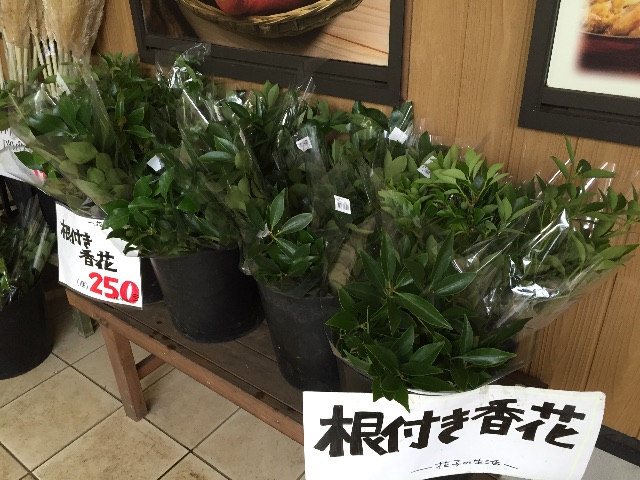 f:id:akane-farm:20150819211326j:image f:id:akane-farm:20150819211326j:image