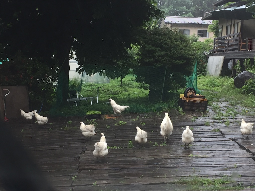 f:id:akane-farm:20160624115102j:image f:id:akane-farm:20160624115102j:image