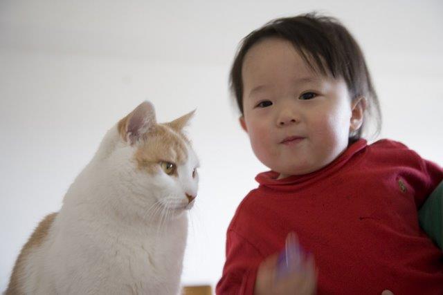 ついに逆襲?ハイハイで近づいてくる息子を撃退するため、我が家の猫が編み出した方法とは