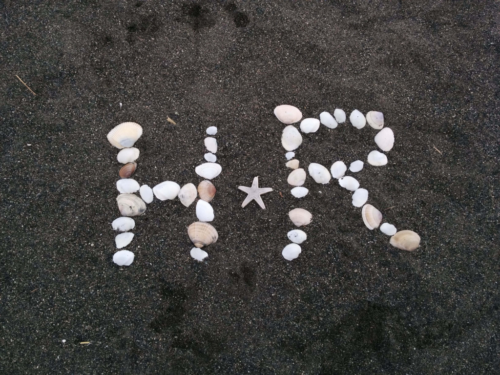 f:id:akasuguope02:20151105194120j:plain