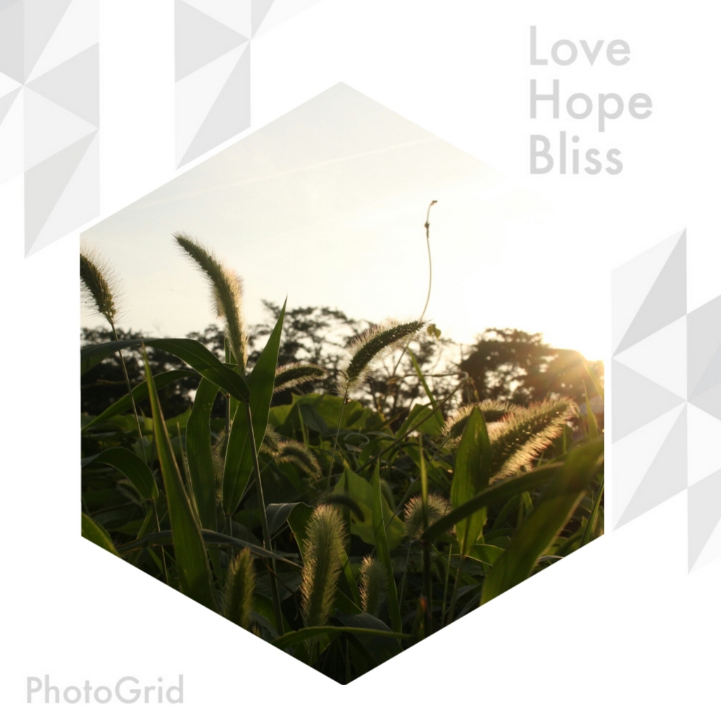 f:id:akasuguope02:20151204154302j:plain