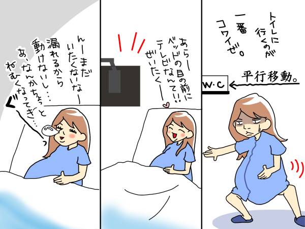 f:id:akasuguope02:20151220165748j:plain