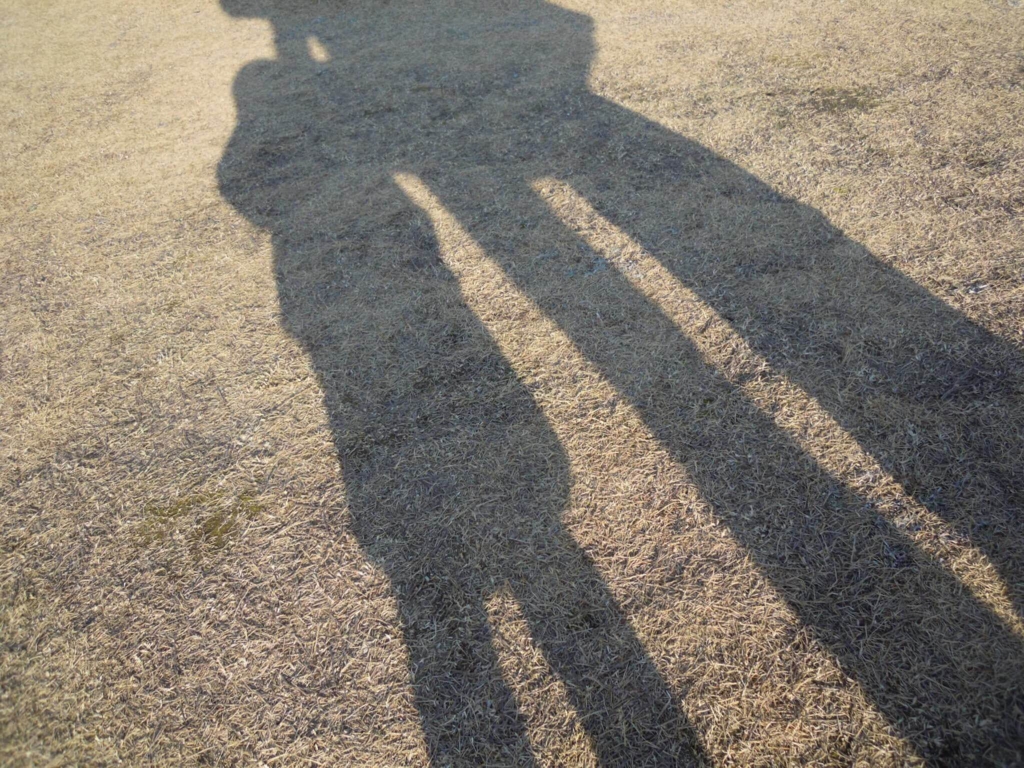 f:id:akasuguope02:20151229112856j:plain