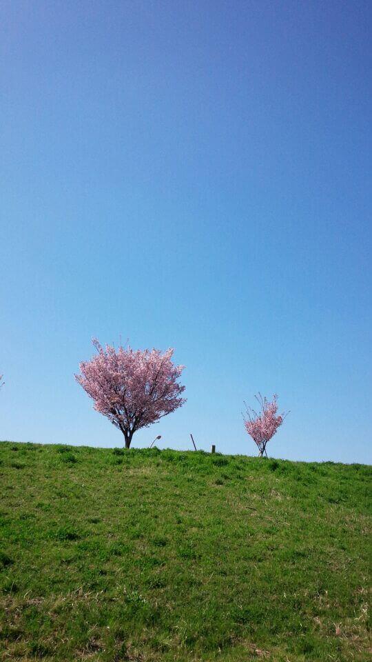 f:id:akasuguope02:20151229124645j:plain