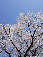 f:id:akasuguope02:20160112175049j:plain