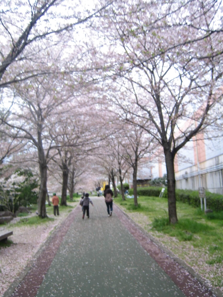 f:id:akasuguope02:20160113170024j:plain