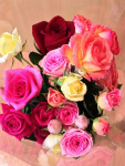 f:id:akasuguope02:20160129173918j:plain