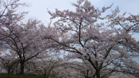 f:id:akasuguope02:20160219223139j:plain