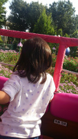 f:id:akasuguope02:20160227020411j:plain