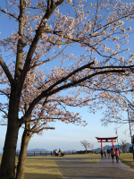 f:id:akasuguope02:20160305220634j:plain