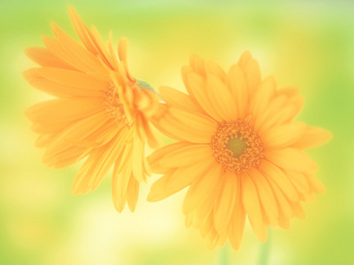 f:id:akasuguope03:20150831140633j:plain
