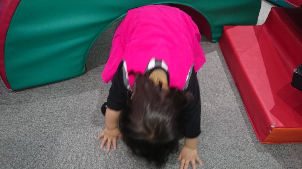 f:id:akasuguope03:20150911151123j:plain