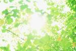 f:id:akasuguope03:20150922180440p:plain