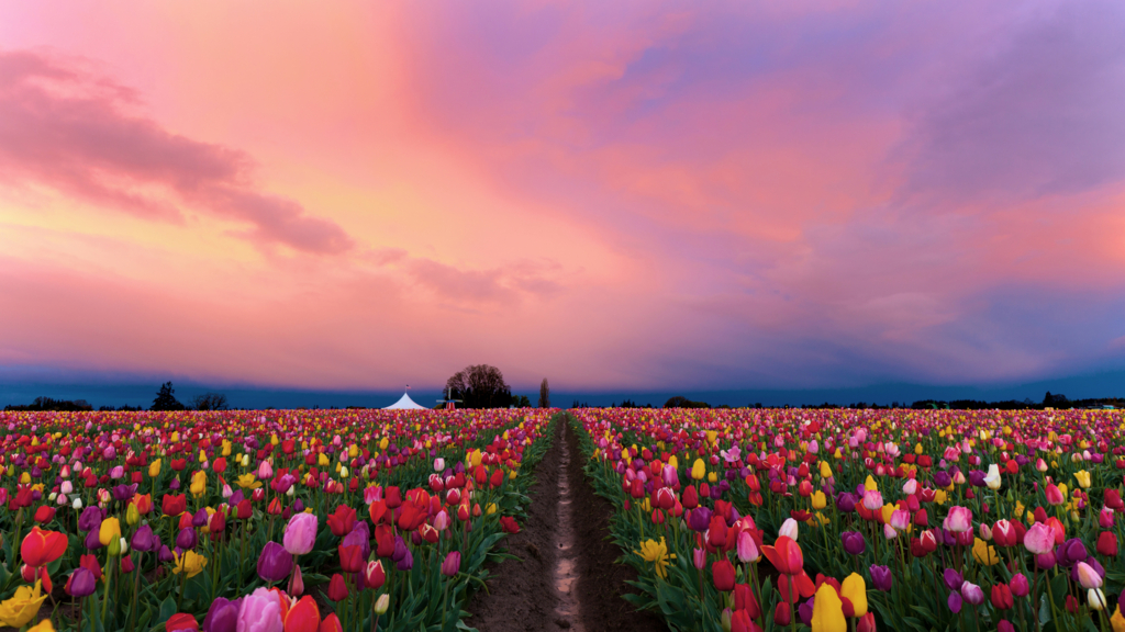 f:id:akasuguope03:20150928160245j:plain