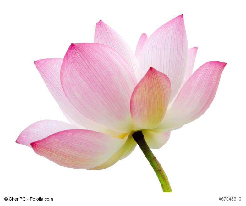 f:id:akasuguope03:20150928231125j:plain