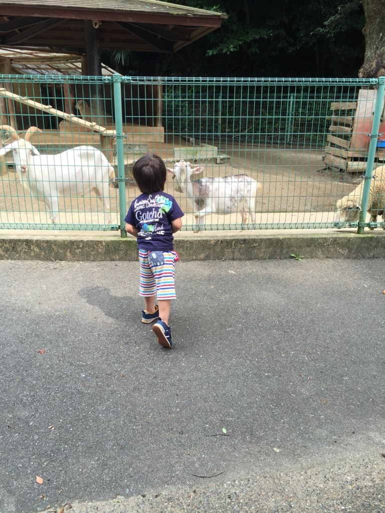 f:id:akasuguope03:20150930100608j:plain