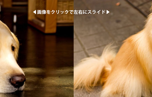 f:id:akatonbo_web:20150521025729p:plain f:id:akatonbo_web:20150521025729p:plain