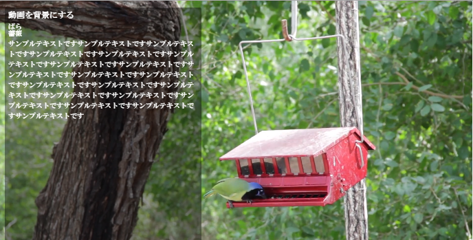 f:id:akatonbo_web:20150804204534p:plain f:id:akatonbo_web:20150804204534p:plain