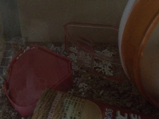 f:id:akie1000:20140208220526j:plain f:id:akie1000:20140208220526j:plain