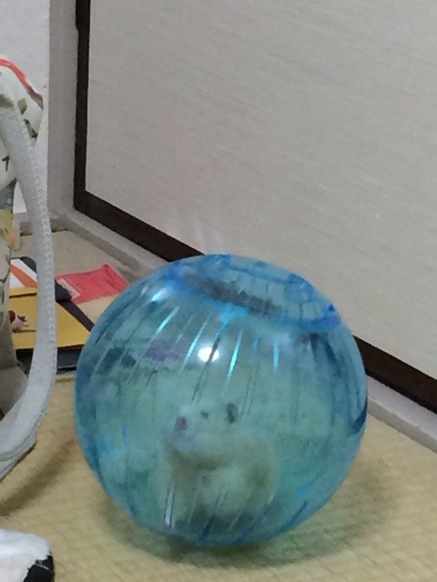 f:id:akie1000:20140228230242j:plain f:id:akie1000:20140228230242j:plain