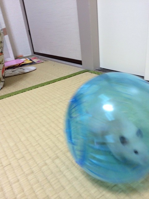 f:id:akie1000:20140302221508j:plain f:id:akie1000:20140302221508j:plain