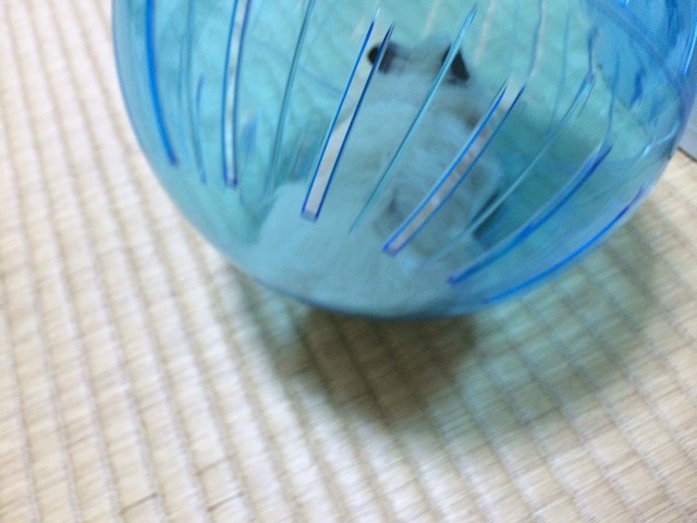 f:id:akie1000:20140303230514j:plain f:id:akie1000:20140303230514j:plain