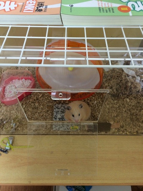 f:id:akie1000:20140825214655j:plain f:id:akie1000:20140825214655j:plain