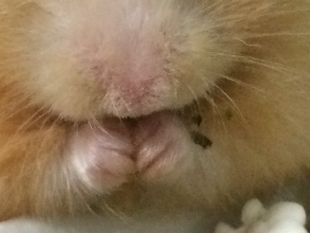 f:id:akie1000:20140907214655j:plain f:id:akie1000:20140907214655j:plain