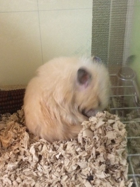 f:id:akie1000:20140907214936j:plain f:id:akie1000:20140907214936j:plain