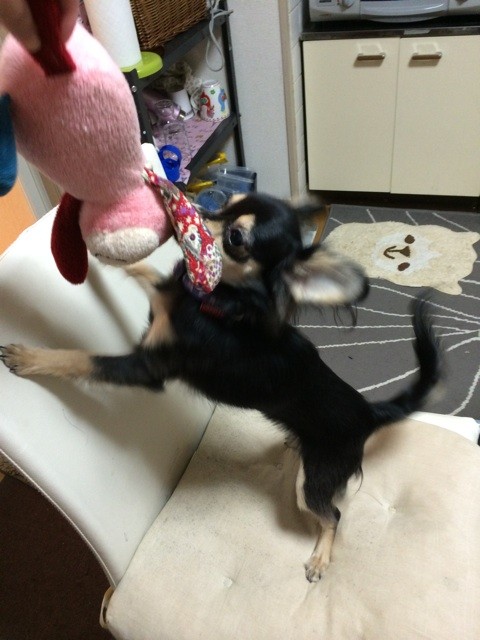 f:id:akie1000:20150112233304j:plain f:id:akie1000:20150112233304j:plain