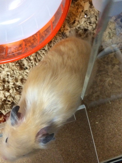 f:id:akie1000:20150114231504j:plain f:id:akie1000:20150114231504j:plain