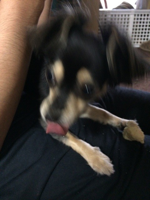 f:id:akie1000:20150623195612j:plain