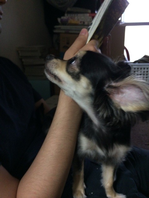 f:id:akie1000:20150623195637j:plain