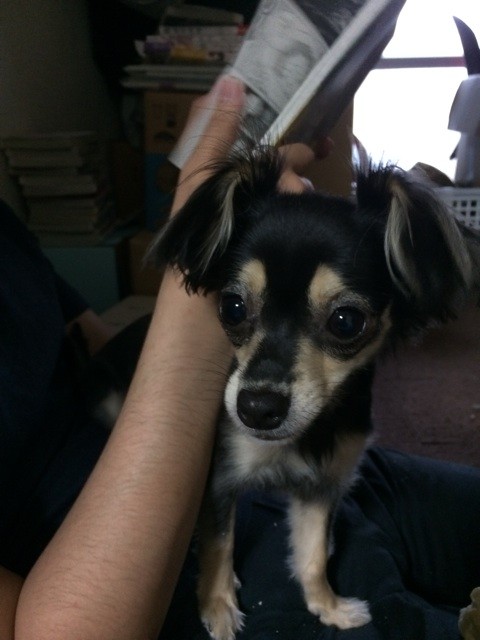 f:id:akie1000:20150623195653j:plain