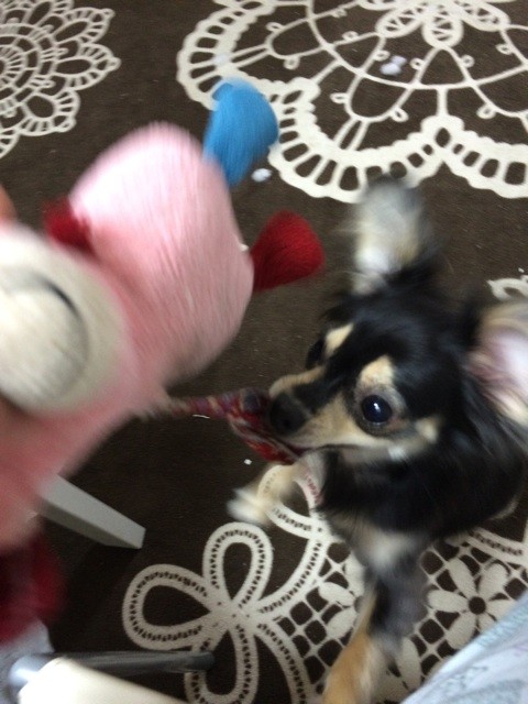 f:id:akie1000:20150623195705j:plain