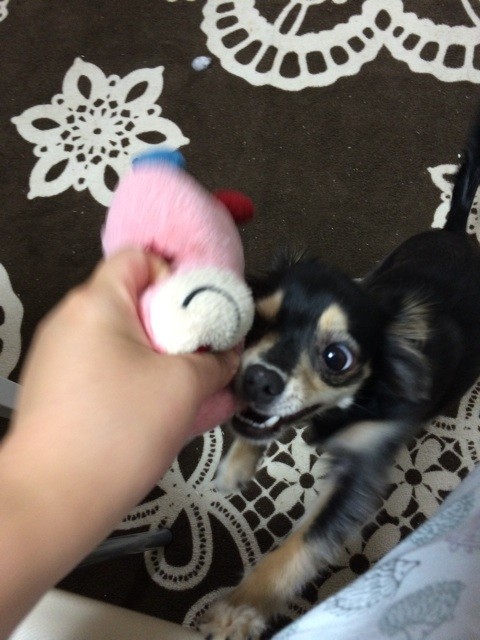 f:id:akie1000:20150623195743j:plain