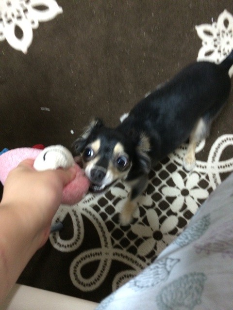 f:id:akie1000:20150623195751j:plain