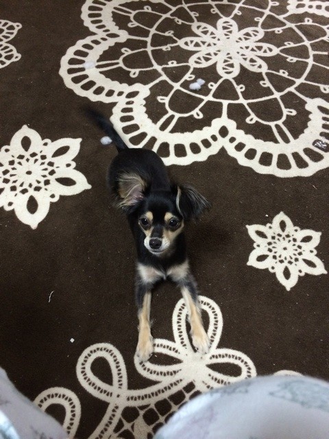 f:id:akie1000:20150623195806j:plain