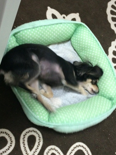 f:id:akie1000:20150701203212j:plain