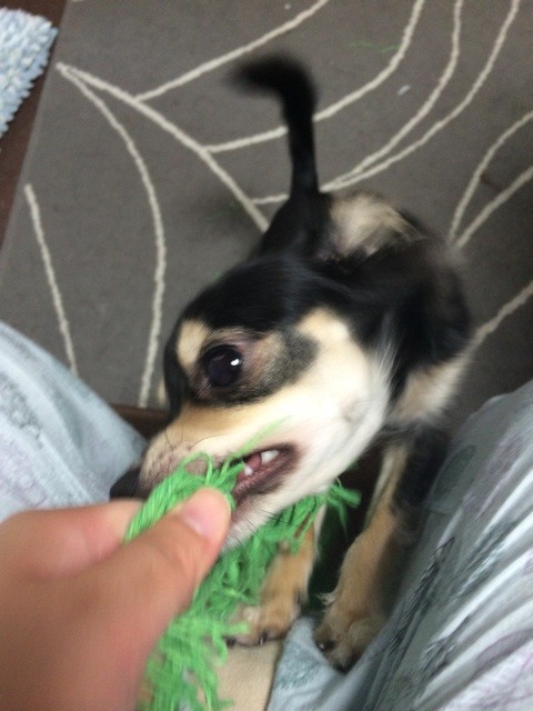 f:id:akie1000:20150701203349j:plain