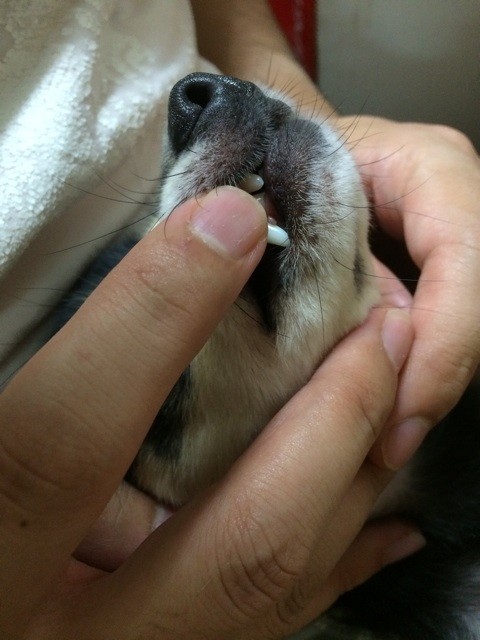 f:id:akie1000:20150905230128j:plain f:id:akie1000:20150905230128j:plain