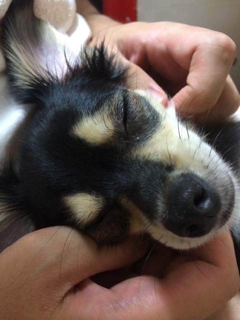 f:id:akie1000:20150905230216j:plain f:id:akie1000:20150905230216j:plain